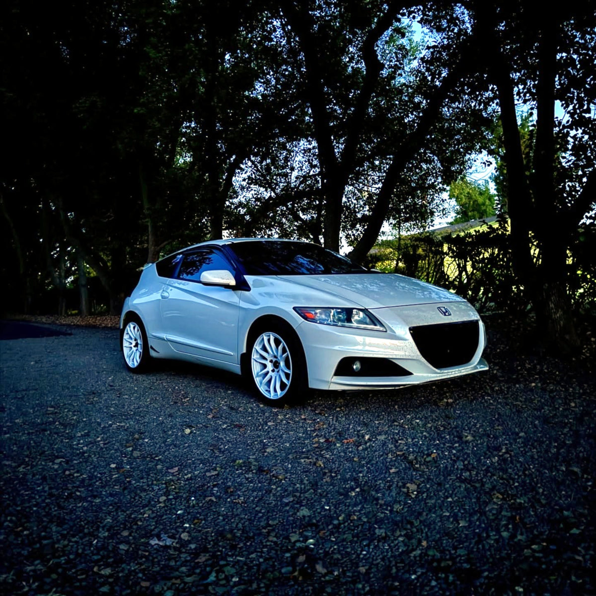 Honda CR-Z EX on Vors TR10 White 17x8 photo 2